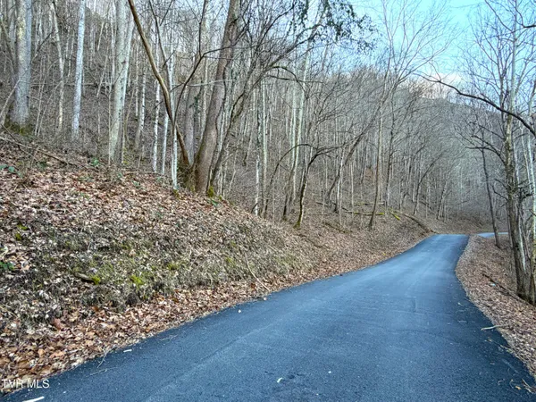 $54,900 | 14-ac Horton Ford Road, Eidson, TN 37731