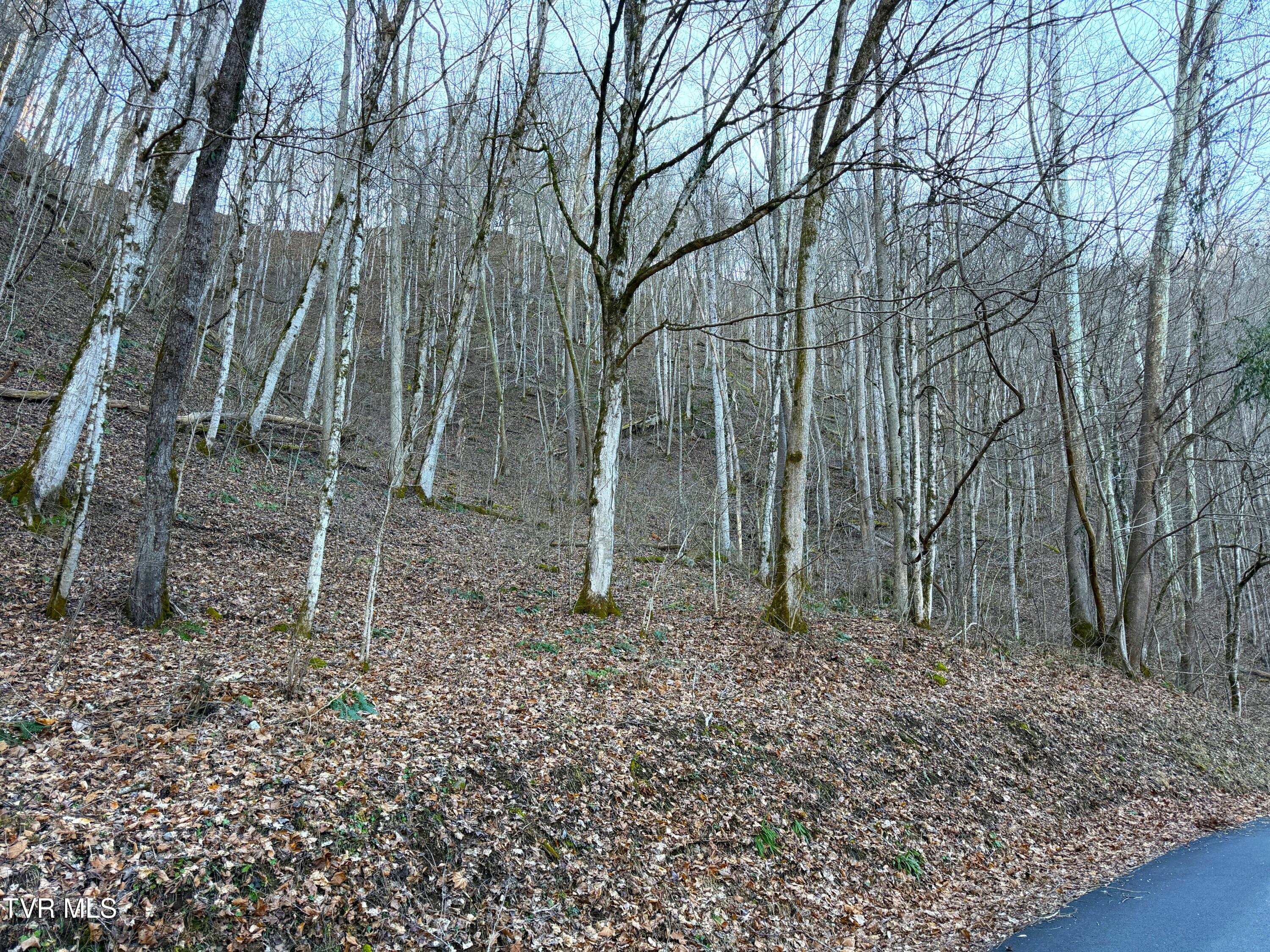 14-ac Horton Ford Road Eidson, TN 37731 - Photo 4 of 9 4