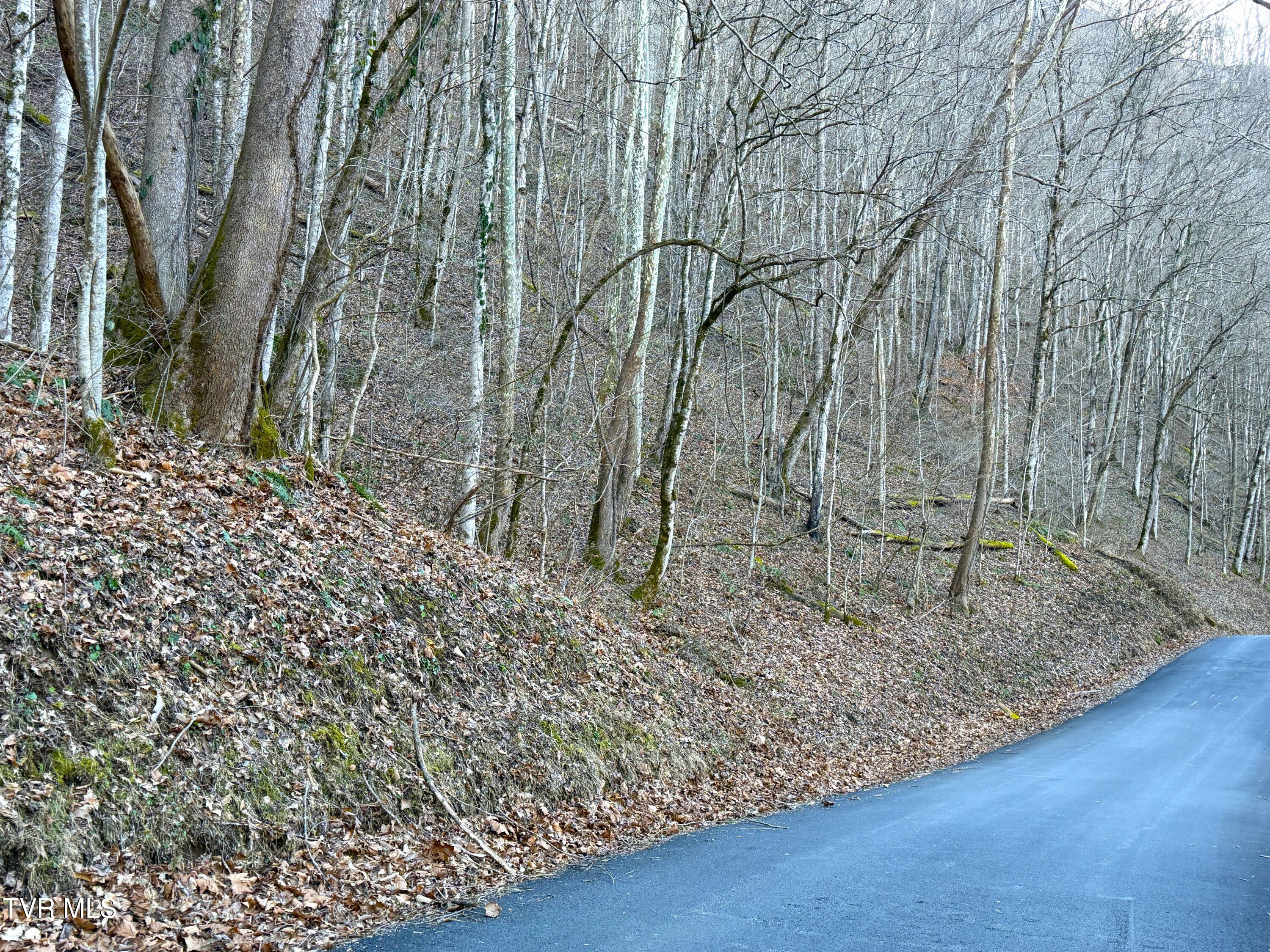 14-ac Horton Ford Road Eidson, TN 37731 - Photo 8 of 9 8