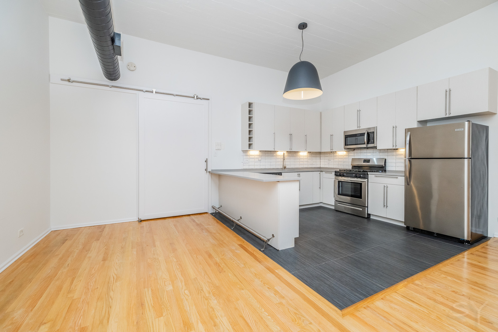 1021 South State Street, Unit 308 Chicago, IL 60605 - Photo 11 of 29