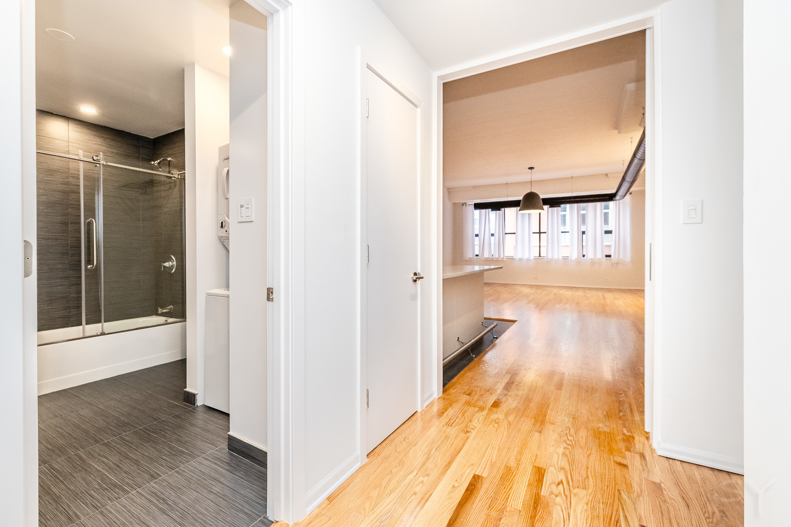 1021 South State Street, Unit 308 Chicago, IL 60605 - Photo 20 of 29