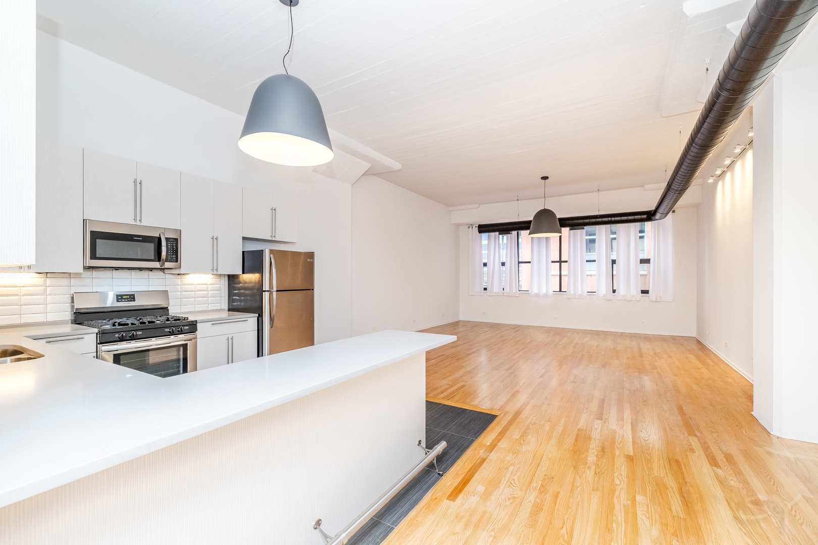 1021 South State Street, Unit 308 Chicago, IL 60605 - Photo 2 of 29