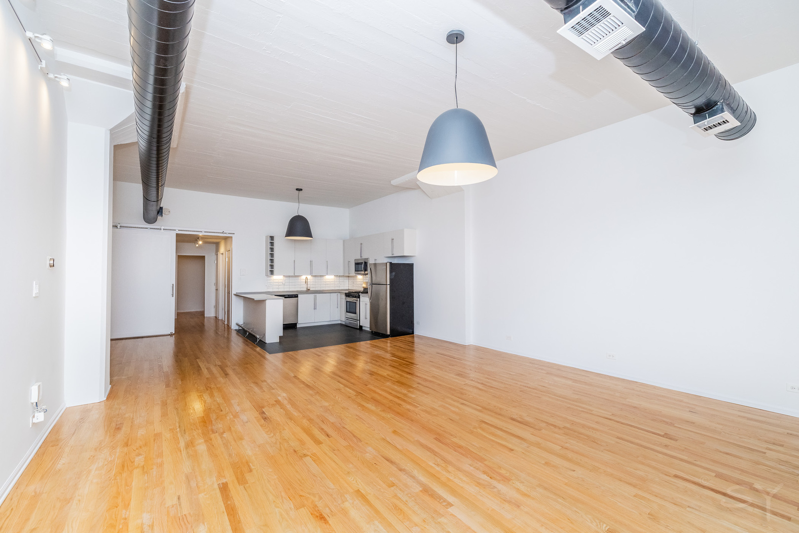 1021 South State Street, Unit 308 Chicago, IL 60605 - Photo 7 of 29