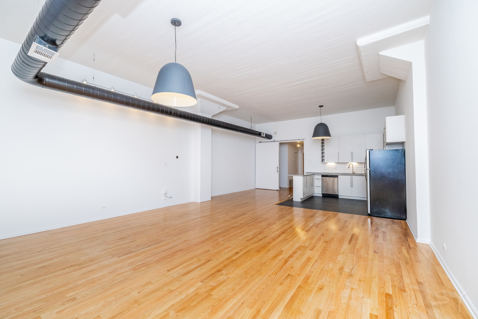 1021 South State Street, Unit 308 Chicago, IL 60605 - Photo 8 of 29