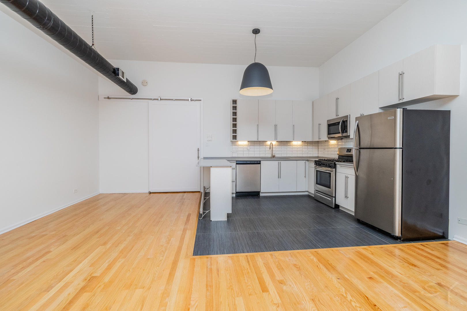 1021 South State Street, Unit 308 Chicago, IL 60605 - Photo 10 of 29