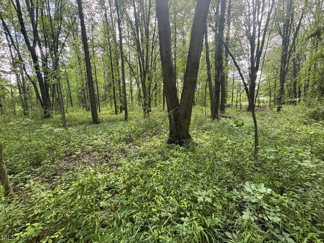 Shafer Road Warren, OH 44481 - Photo 7 of 13 Gallery Image 7