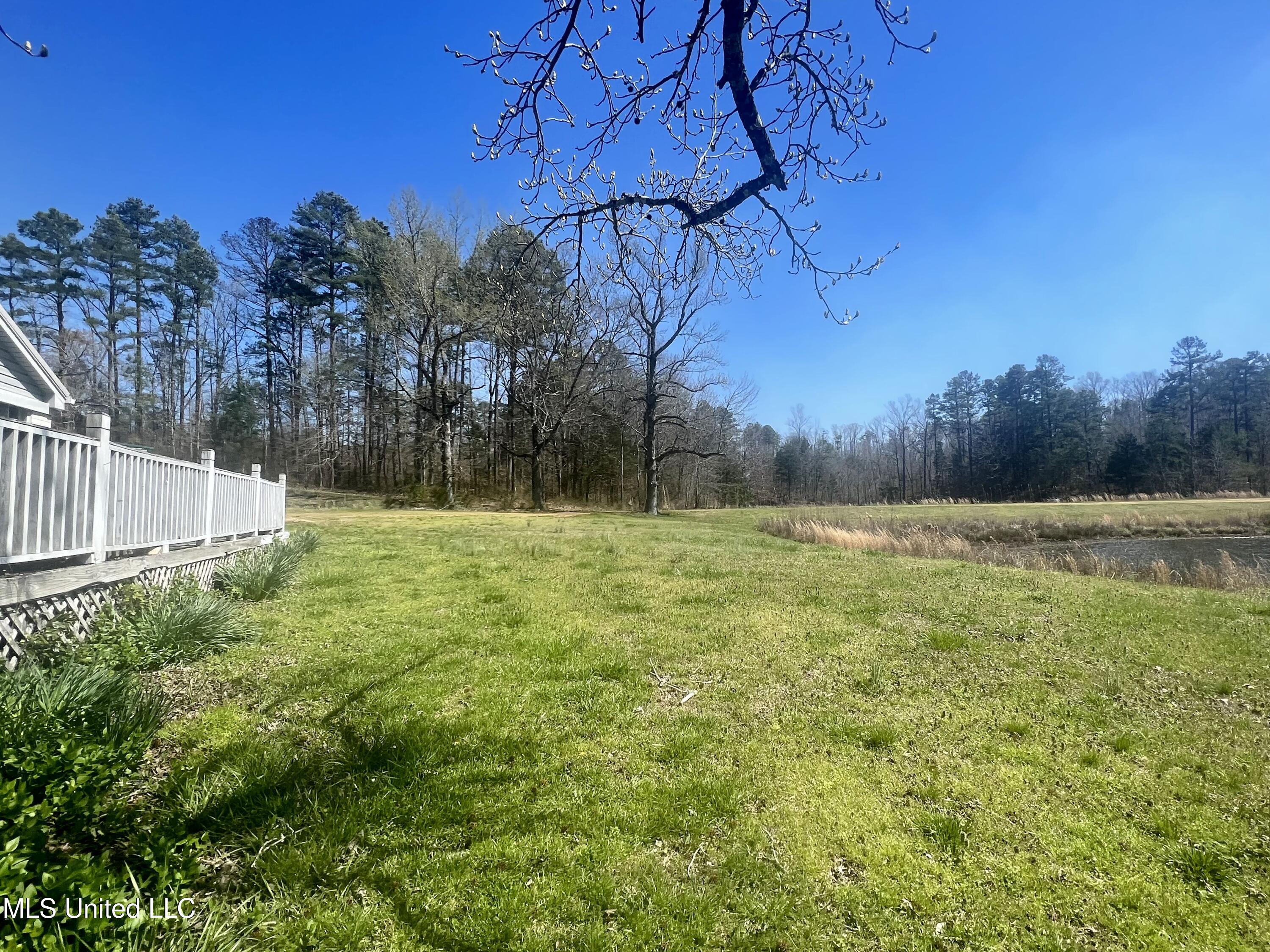 1100 Hendrix Road Coffeeville, MS 38922 - Photo 19 of 46 10703-19