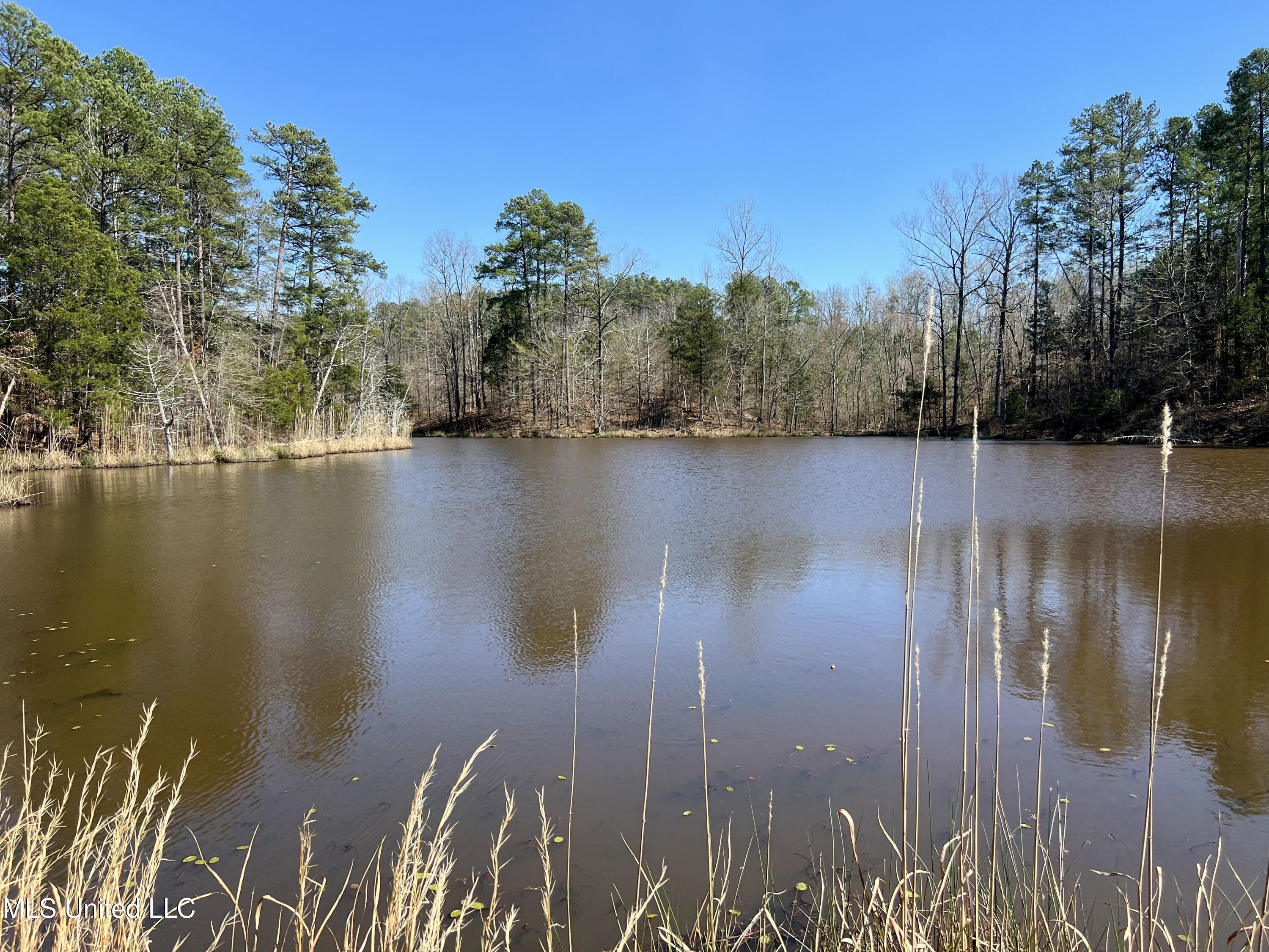 1100 Hendrix Road Coffeeville, MS 38922 - Photo 38 of 46 10703-38