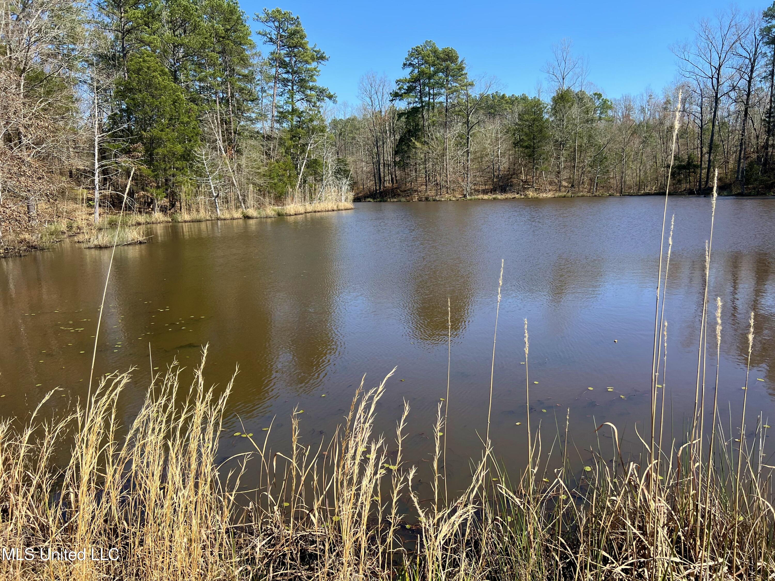 1100 Hendrix Road Coffeeville, MS 38922 - Photo 39 of 46 10703-39