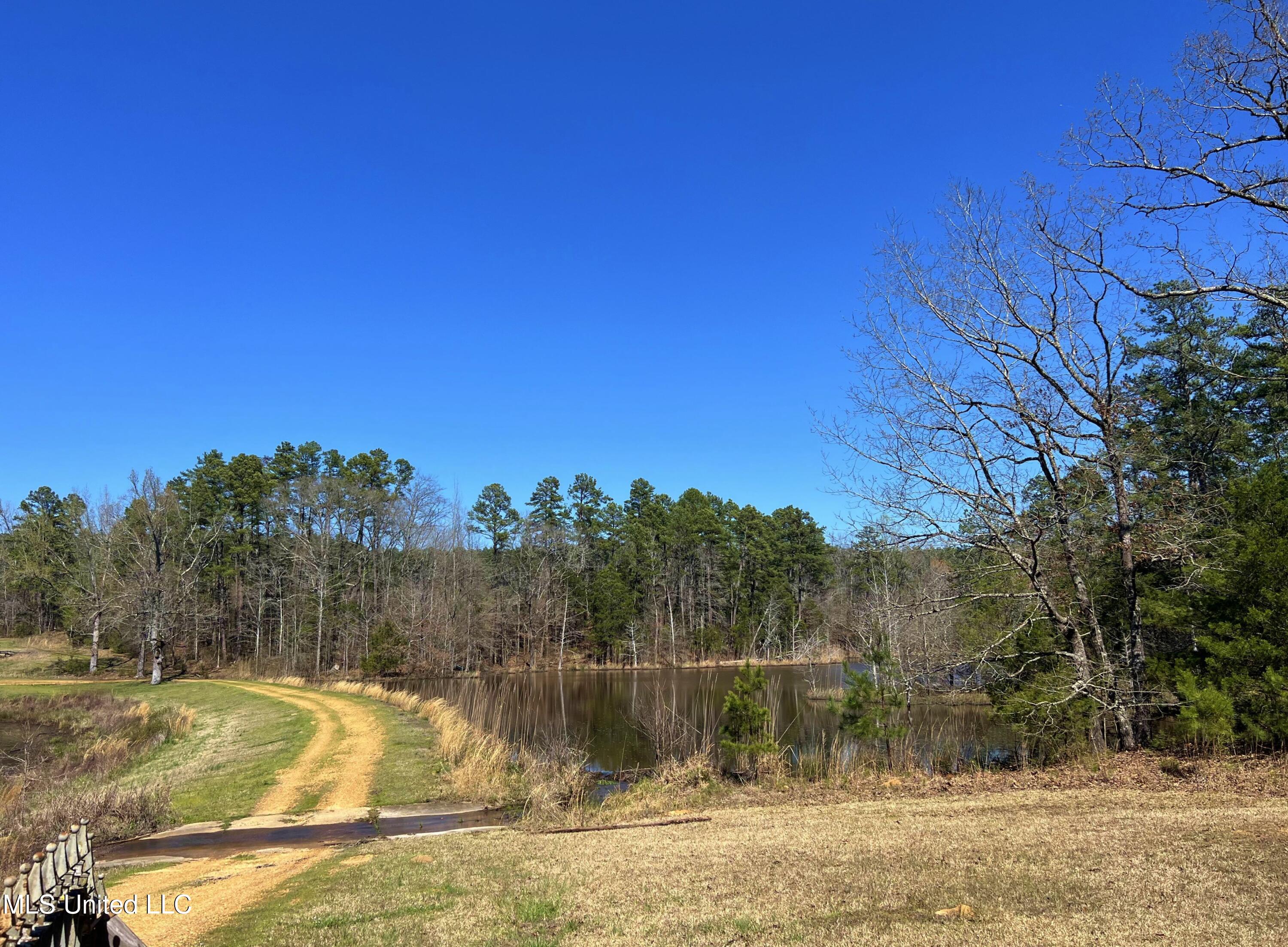 1100 Hendrix Road Coffeeville, MS 38922 - Photo 43 of 46 10703-43