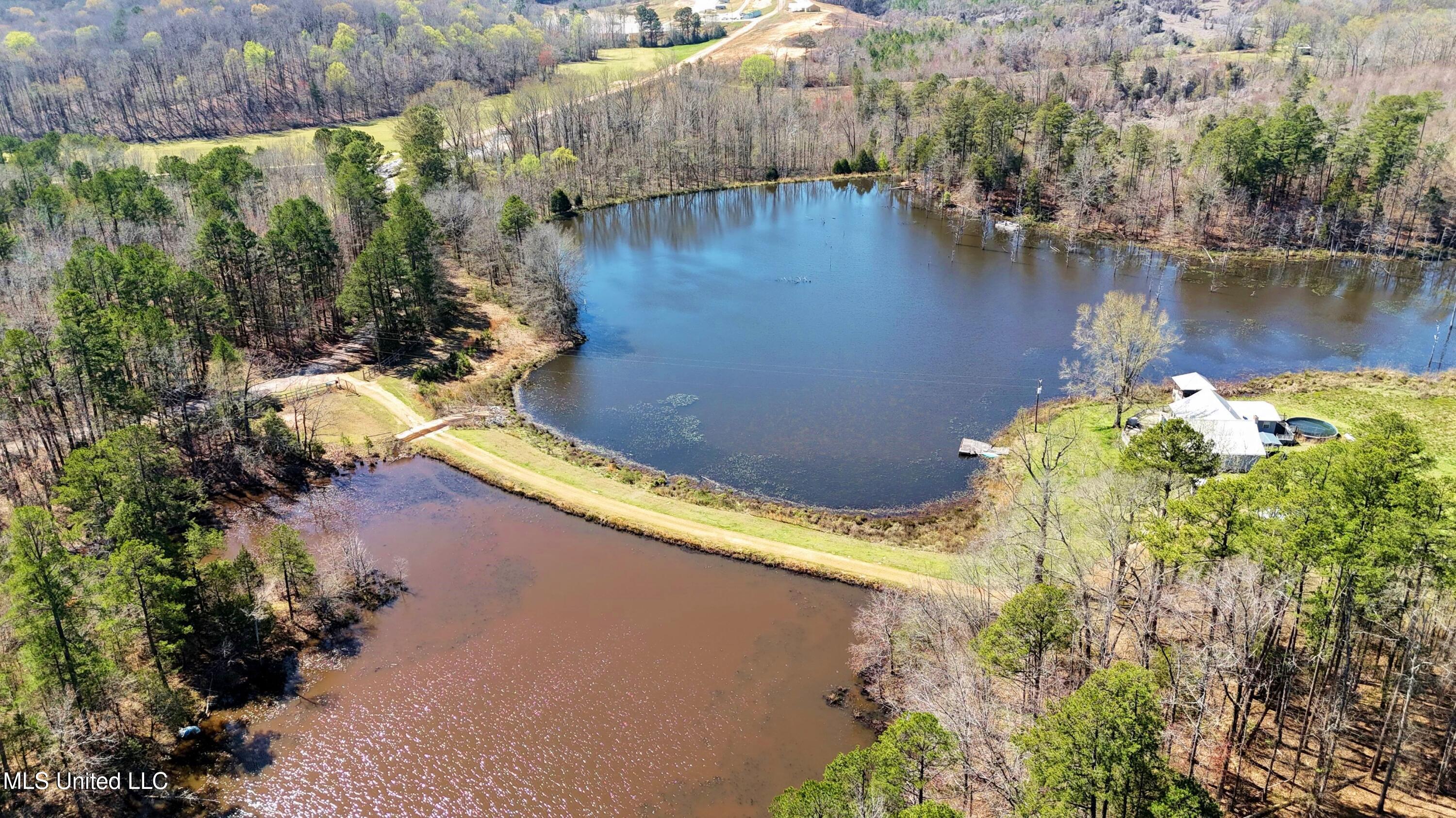 1100 Hendrix Road Coffeeville, MS 38922 - Photo 6 of 46 10703-05