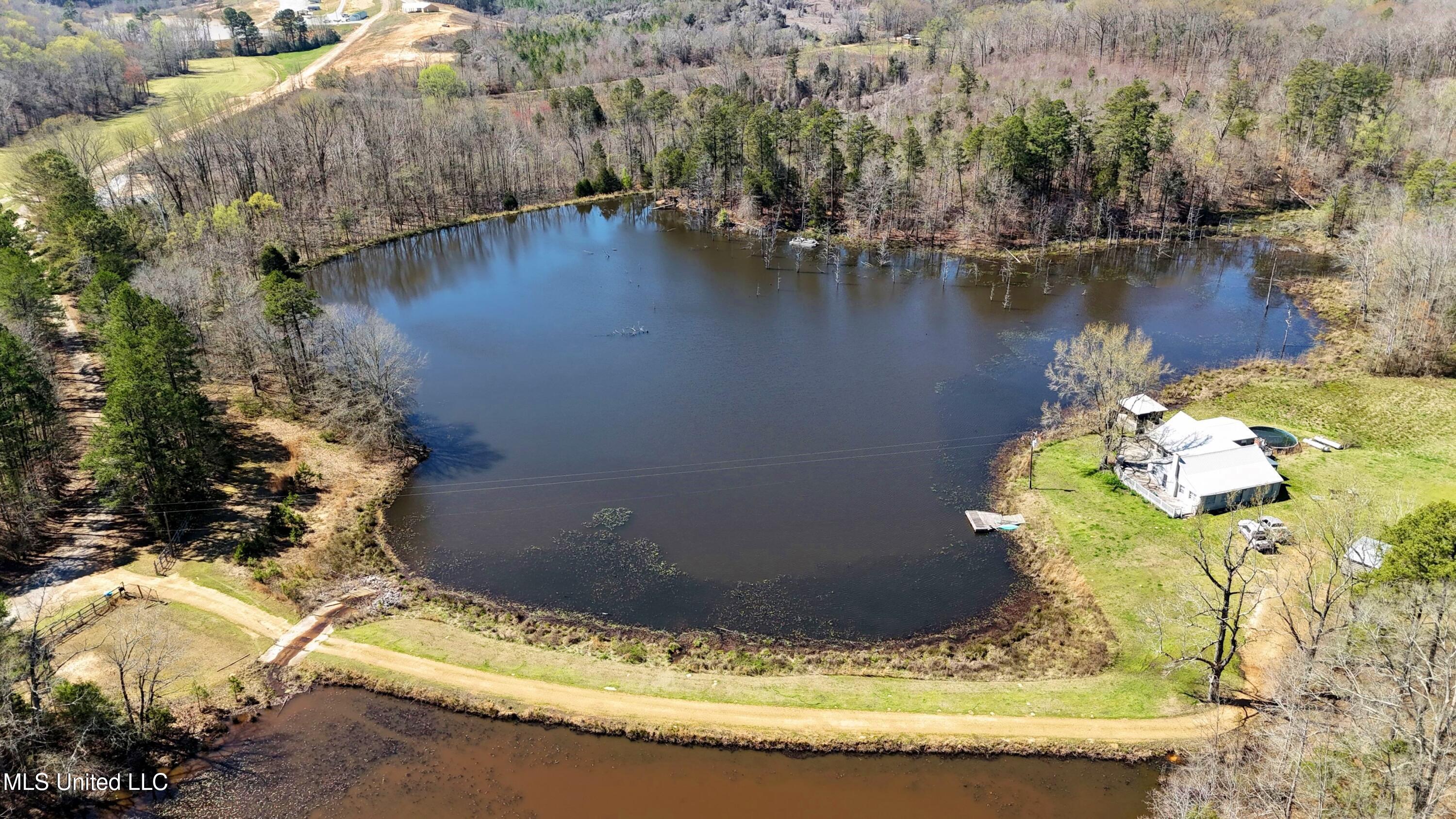 1100 Hendrix Road Coffeeville, MS 38922 - Photo 7 of 46 10703-06