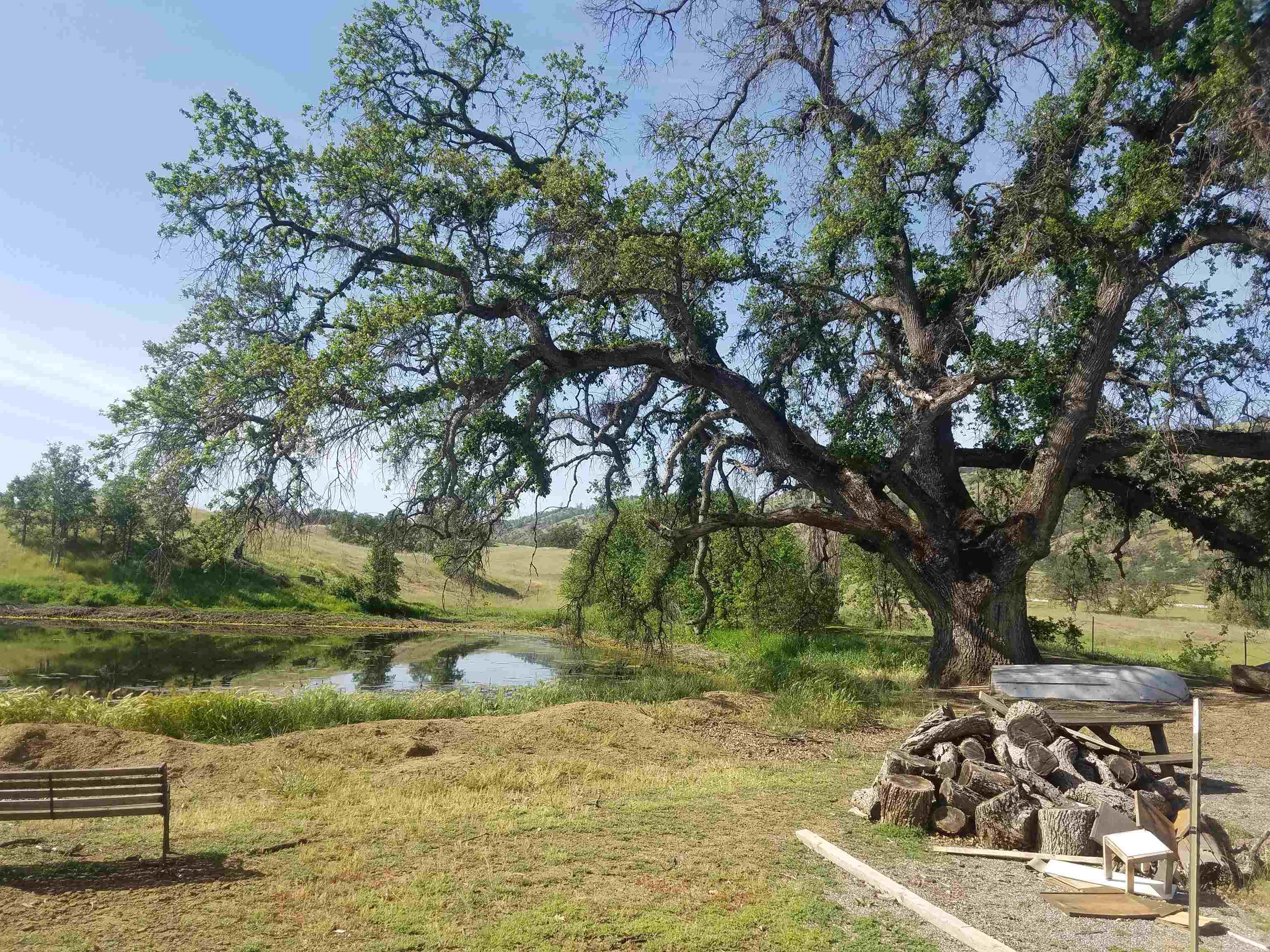 0 High Flat Road Red Bluff, CA 96080 - Photo 12 of 15