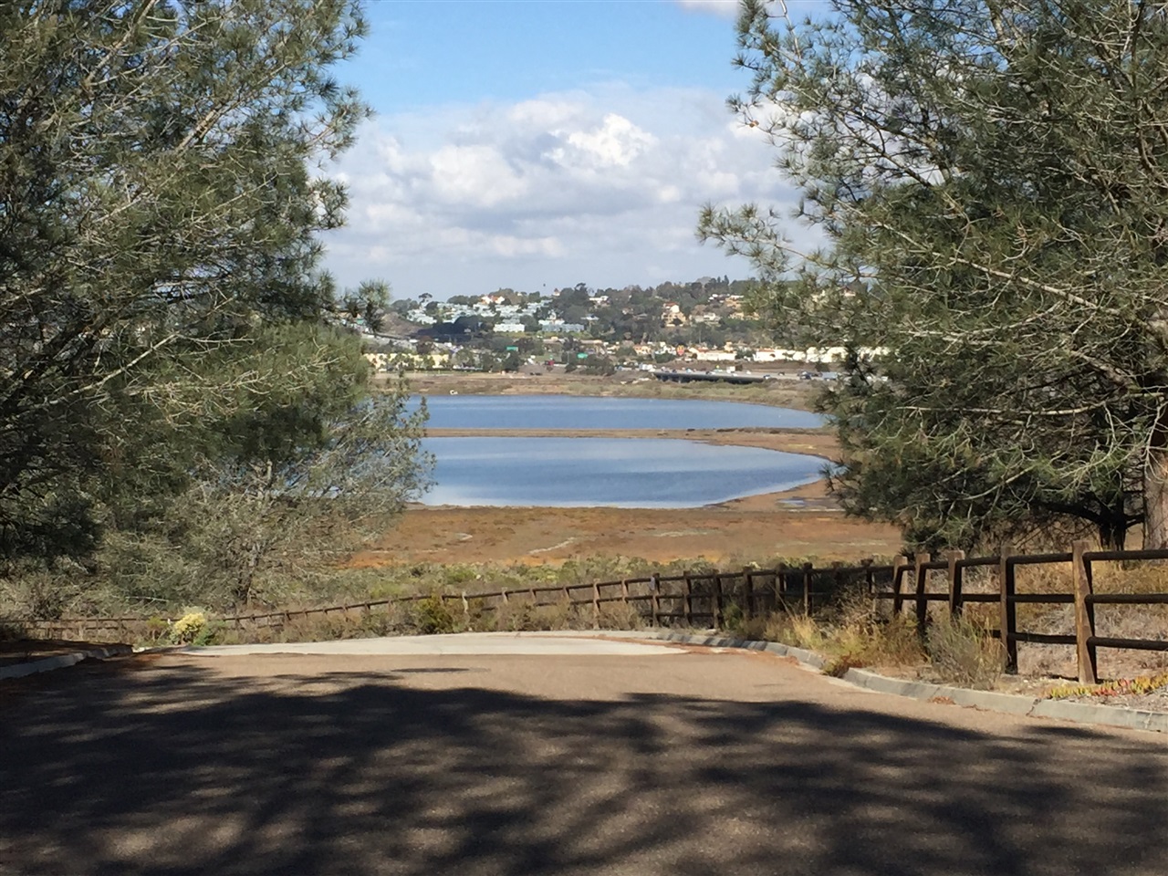 2959 Racetrack View Drive Del Mar, CA 92014 - Photo 24 of 25