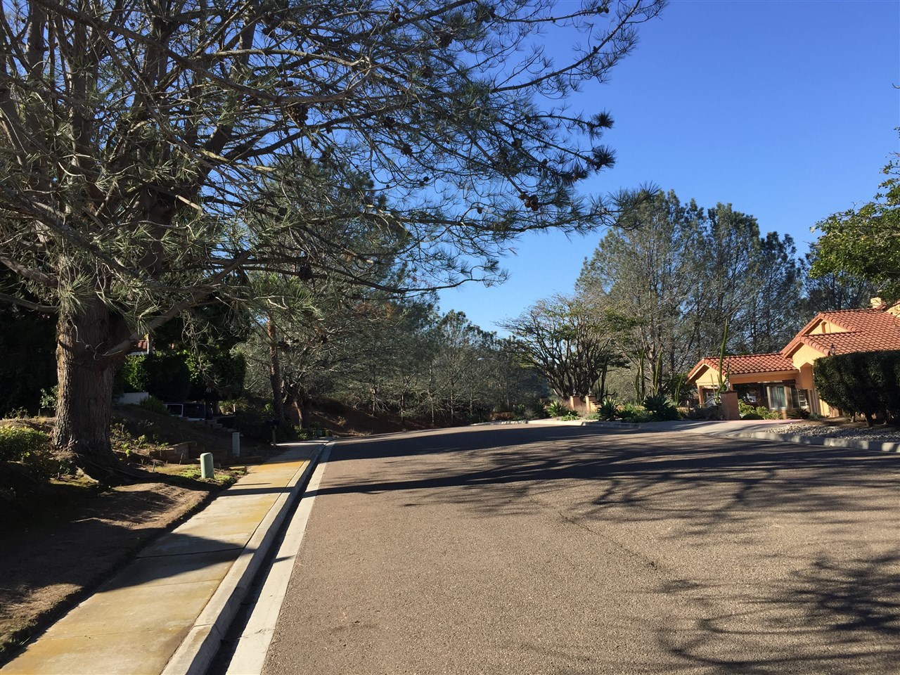 2959 Racetrack View Drive Del Mar, CA 92014 - Photo 8 of 25