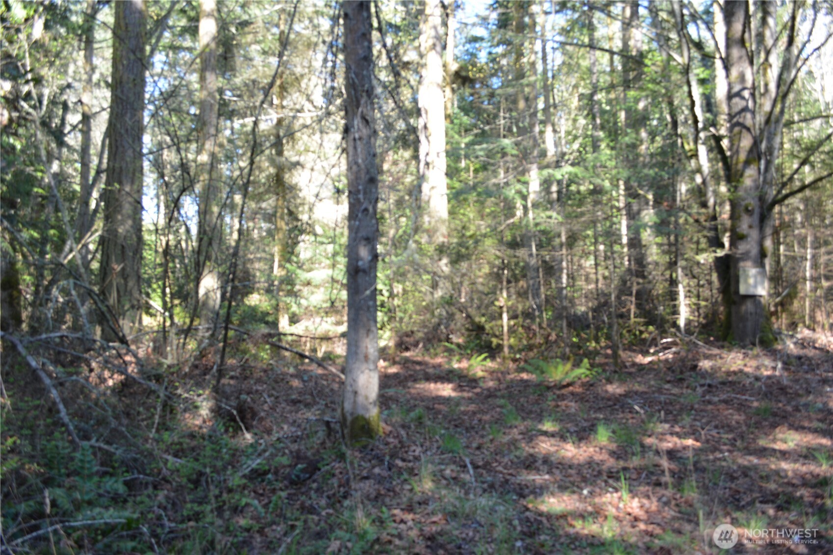 999 East Sequim Bay Road Sequim, WA 98382 - Photo 9 of 22 Gallery Image 9