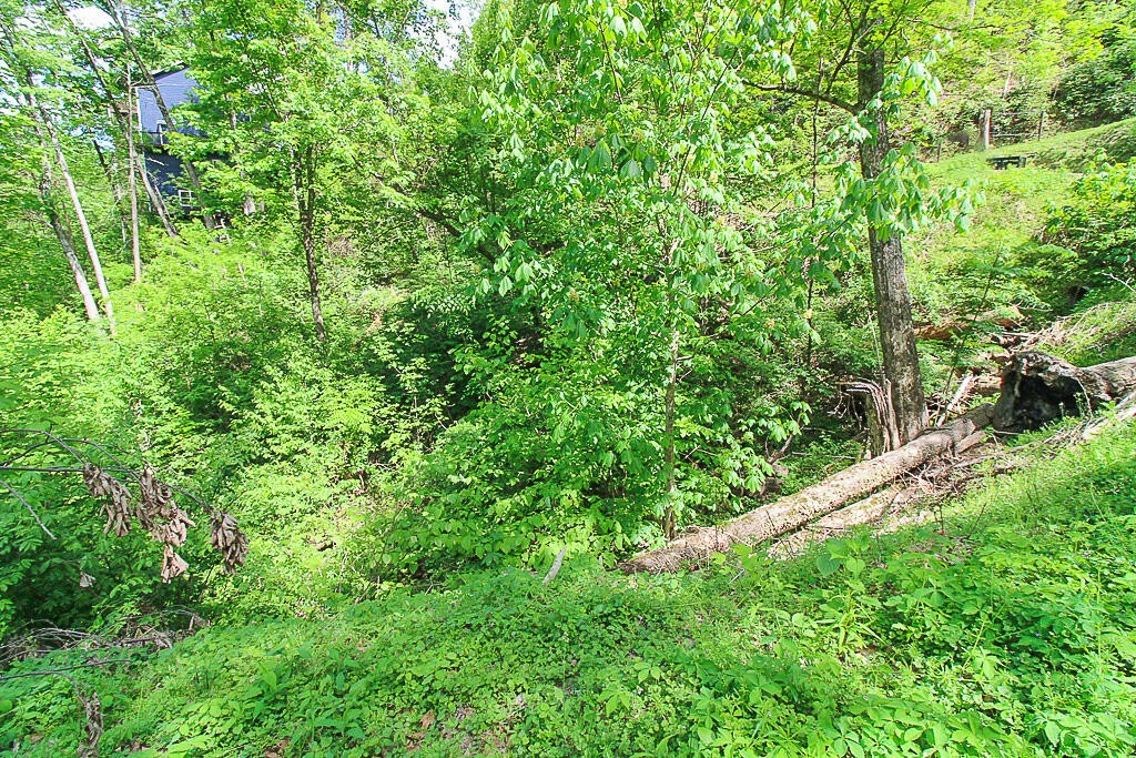 579 Crooked Ridge Road Gatlinburg, TN 37738 - Photo 8 of 24 Gallery Image 8