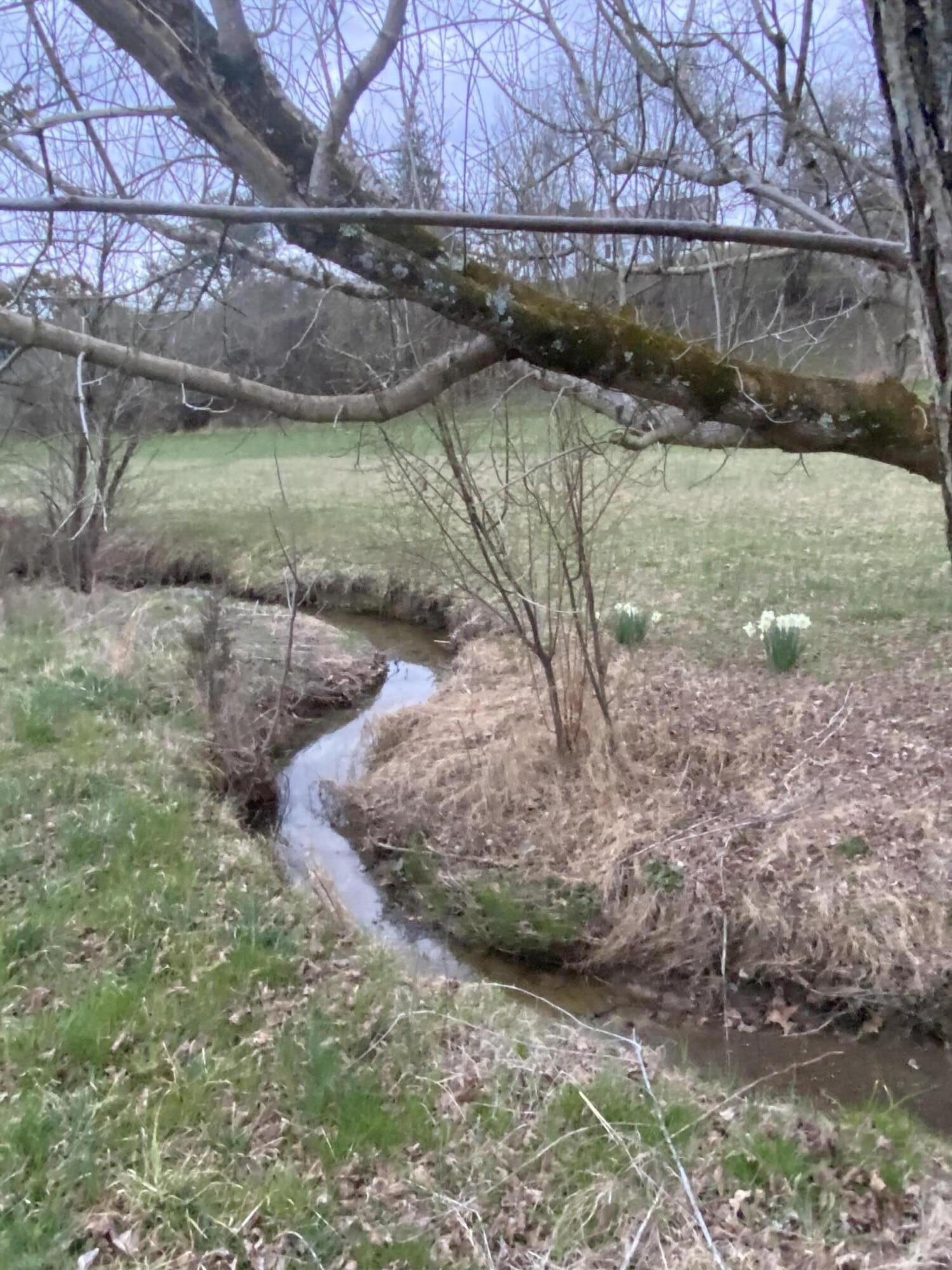 214 Webster Valley Road Rogersville, TN 37857 - Photo 28 of 35 image_67215105