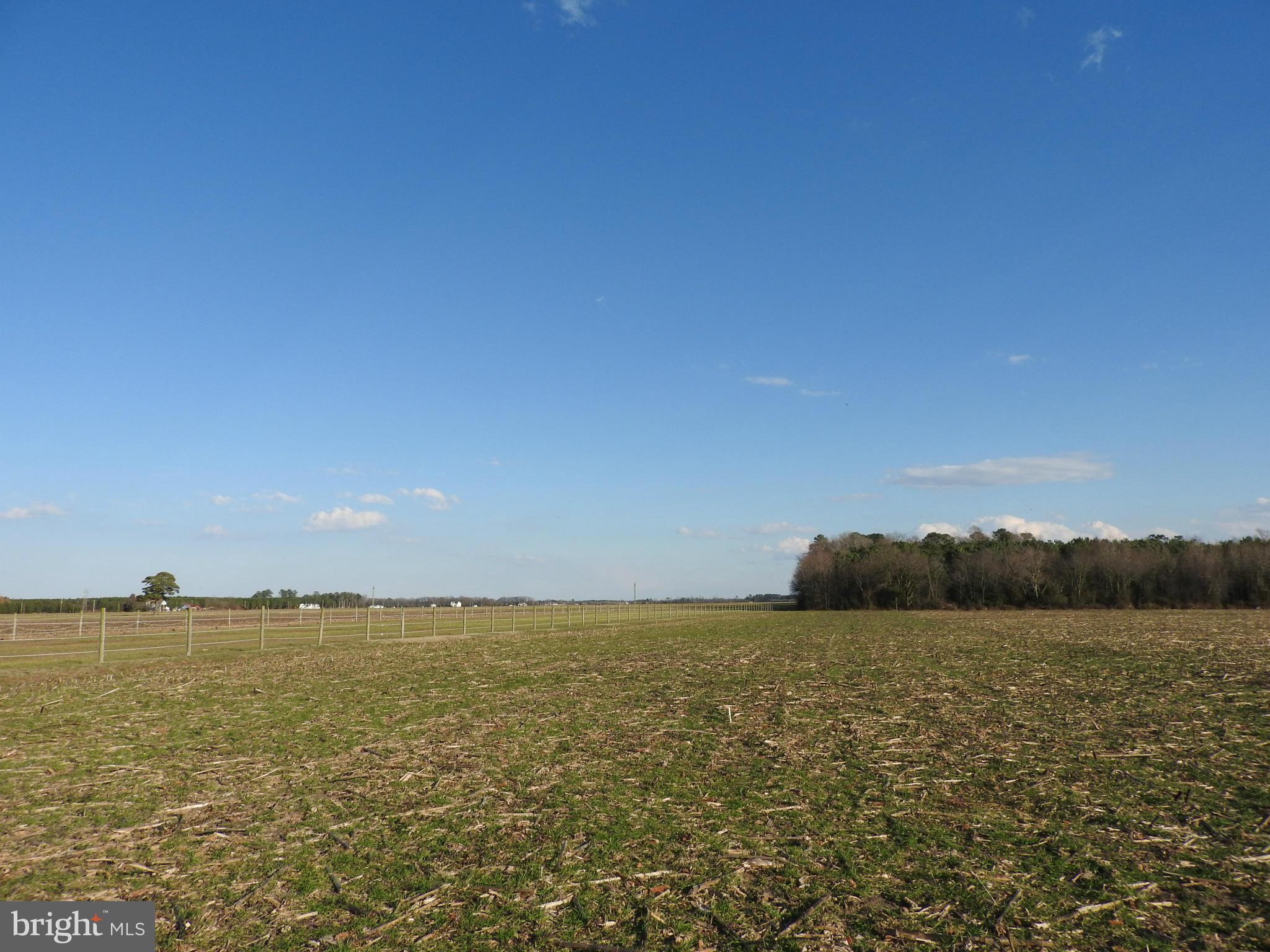 5645 Rhodesdale Vienna Road Rhodesdale, MD 21659 - Photo 11 of 30 View