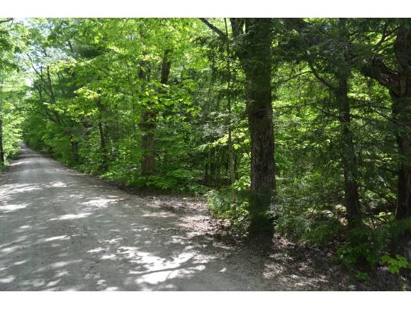 775 Wild Meadow Road Grafton, NH 03240 - Photo 1 of 12 Gallery Image 1
