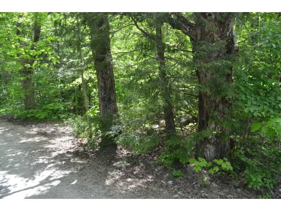 775 Wild Meadow Road Grafton, NH 03240 - Photo 6 of 12 Gallery Image 6