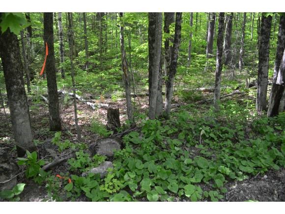 775 Wild Meadow Road Grafton, NH 03240 - Photo 8 of 12 Gallery Image 8