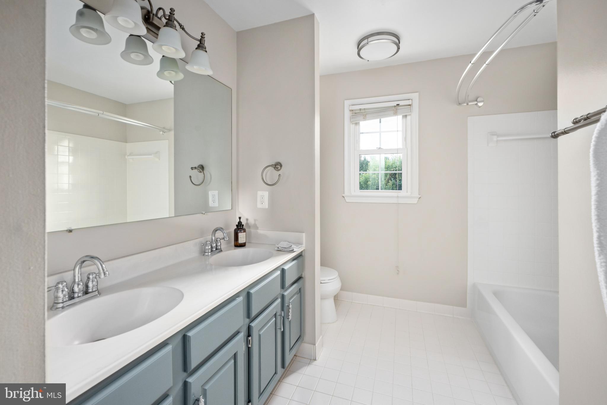 43232 Wayside Circle Ashburn, VA 20147 - Photo 60 of 105 a bathroom with a double vanity sink and a mirror