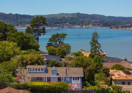 a view of a house with a big yard plants and large trees