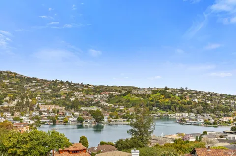 a view of a backyard with potted plants
