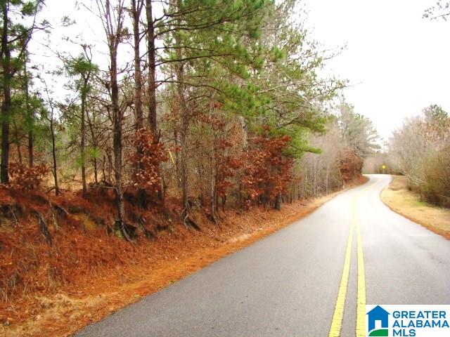 4494 Roy Webb Cutoff Road, Unit 1 Piedmont, AL 36272 - Photo 4 of 4