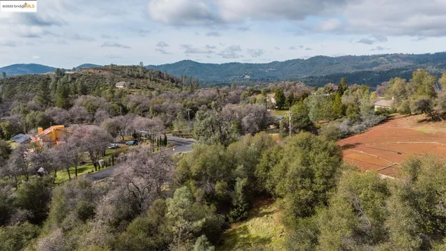 an aerial view of houses covered in trees