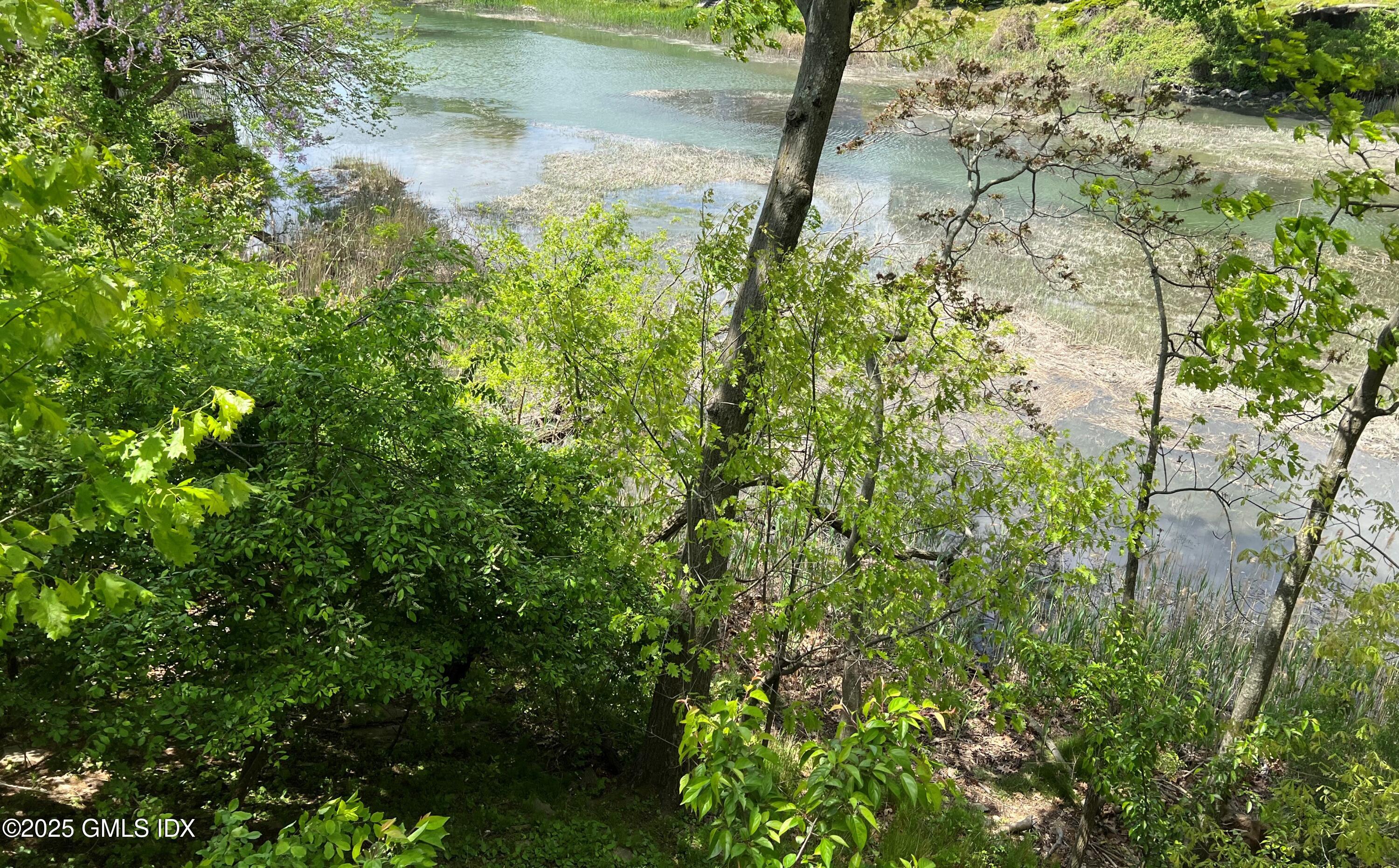 84 Indian Harbor Drive Greenwich, CT 06830 - Photo 2 of 16 a view of a yard with plants and a bench