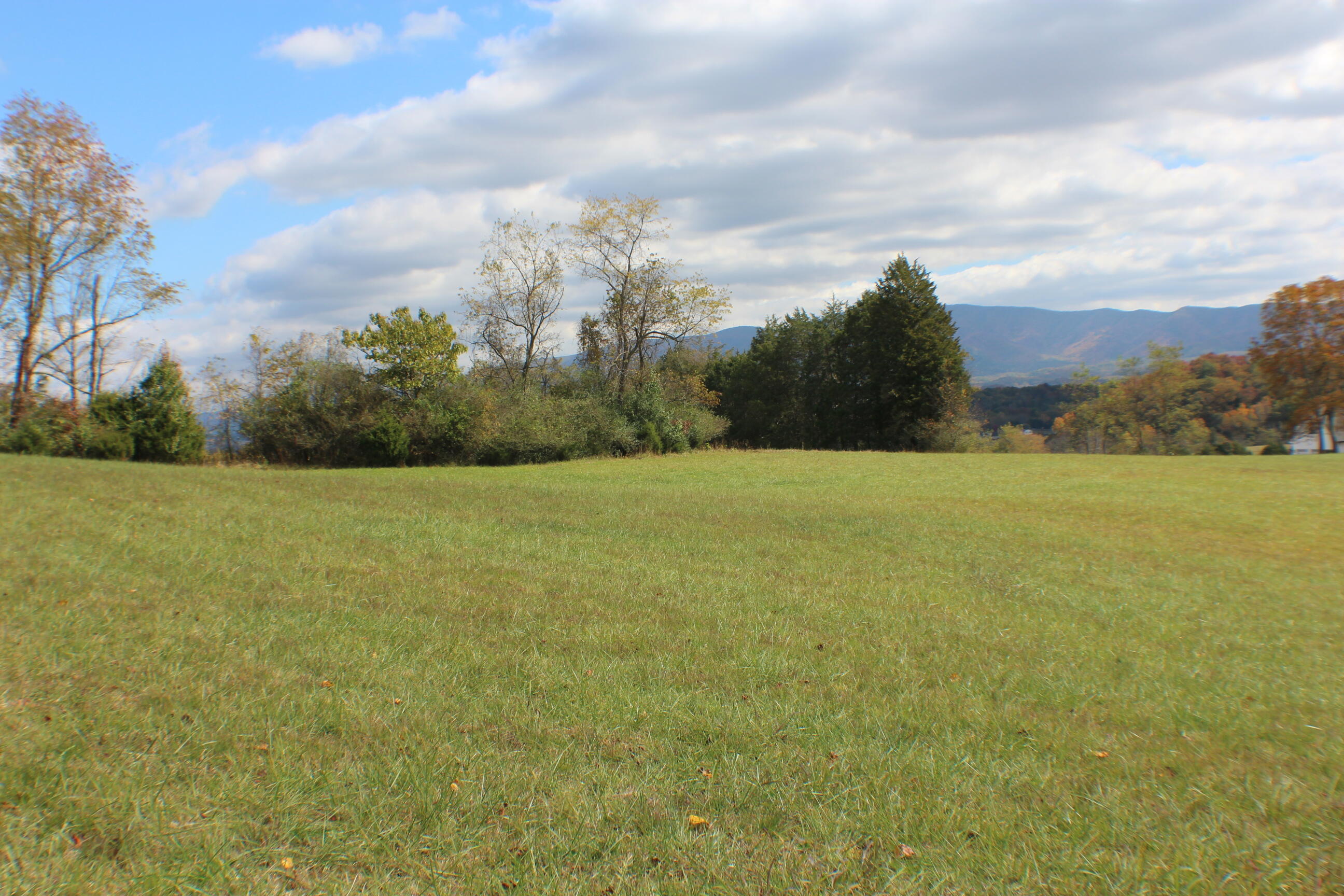 0 Vickars Road Bluff City, TN 37618 - Photo 1 of 16 IMG_8196