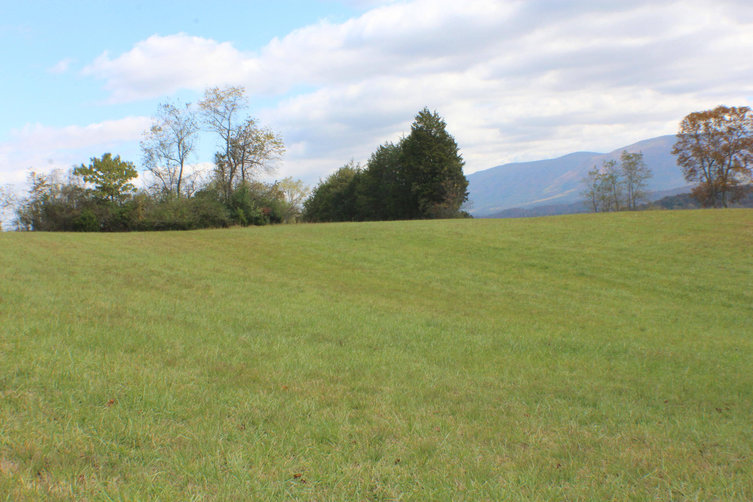 0 Vickars Road Bluff City, TN 37618 - Photo 11 of 16 IMG_8198