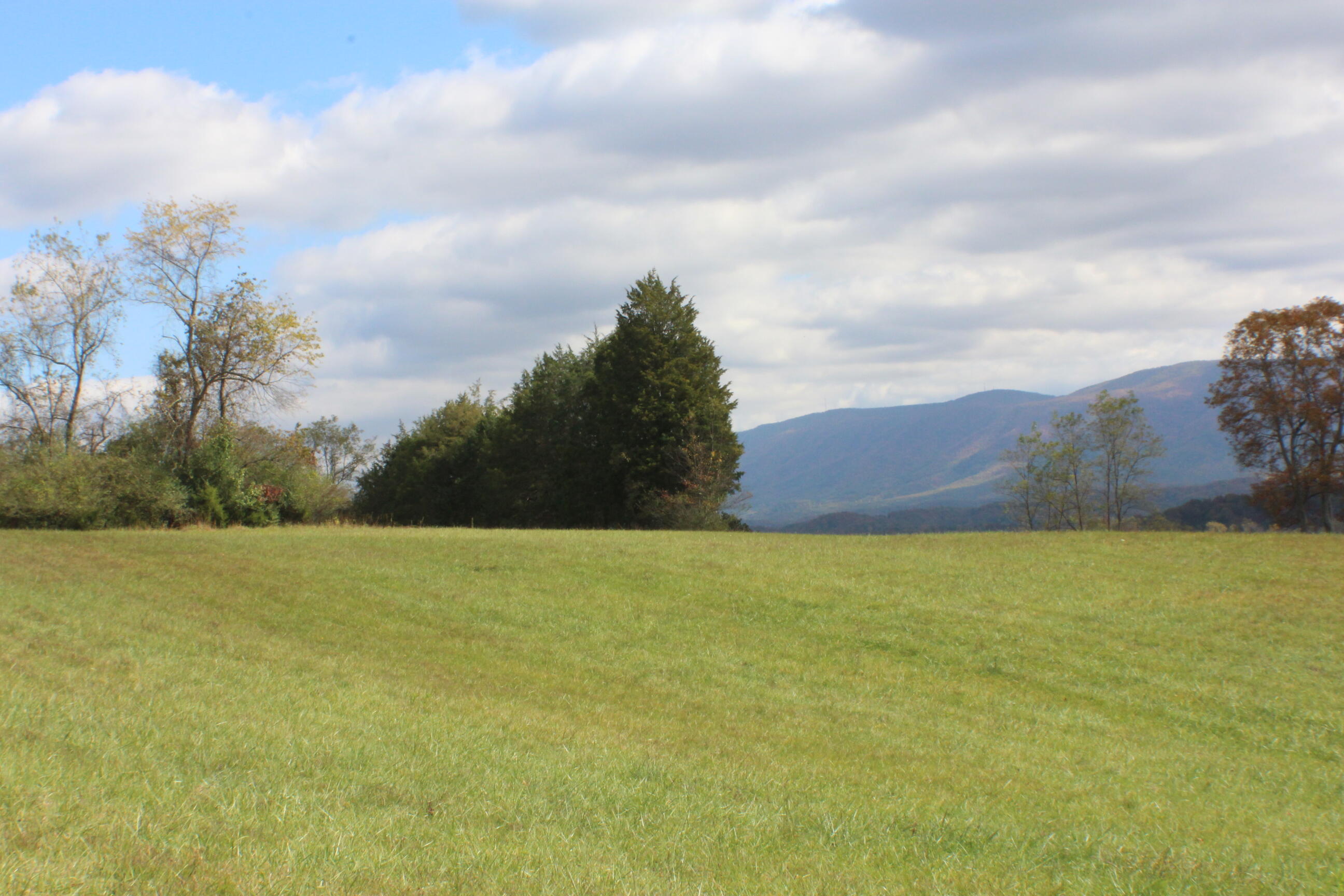 0 Vickars Road Bluff City, TN 37618 - Photo 12 of 16 IMG_8199