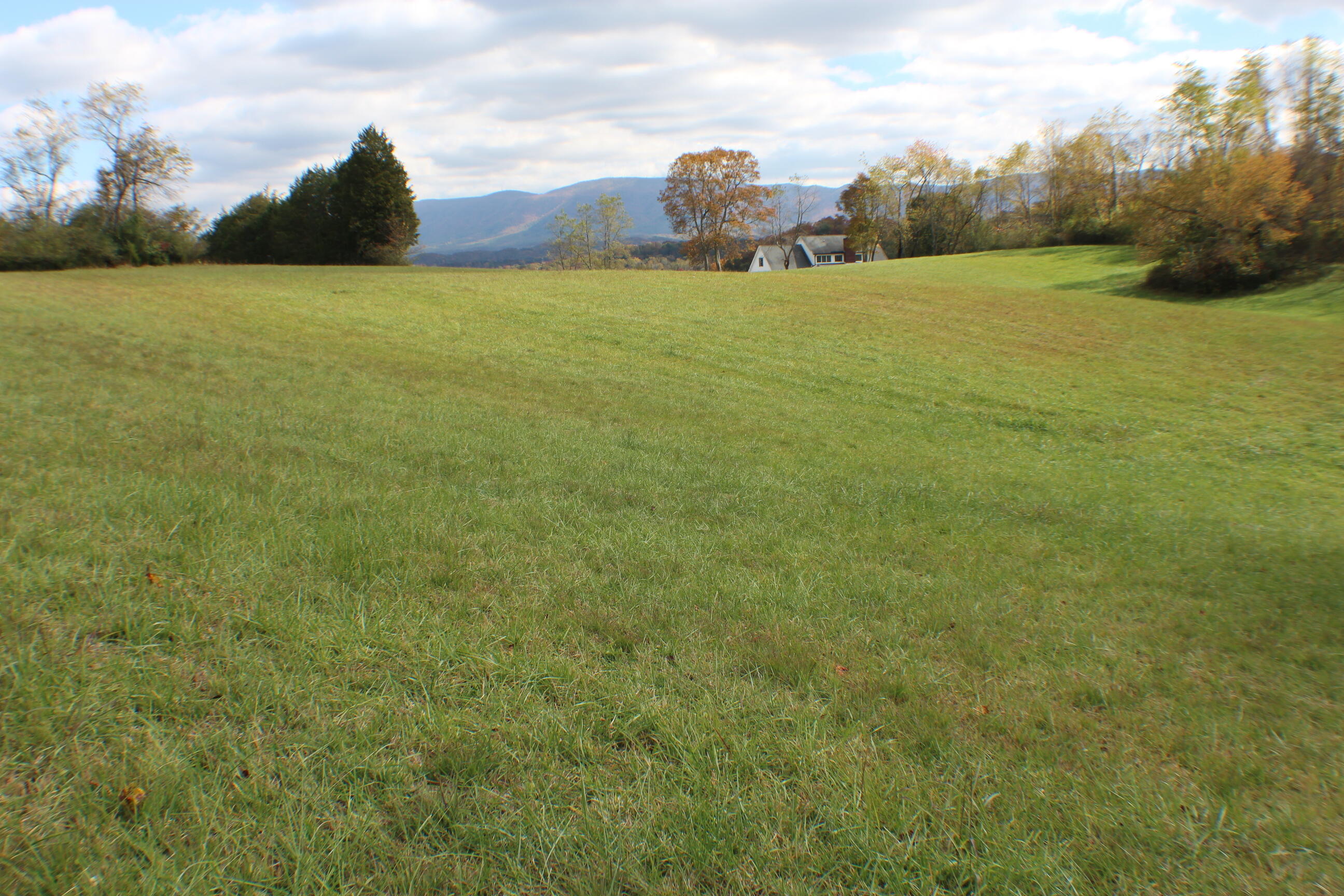 0 Vickars Road Bluff City, TN 37618 - Photo 13 of 16 IMG_8200