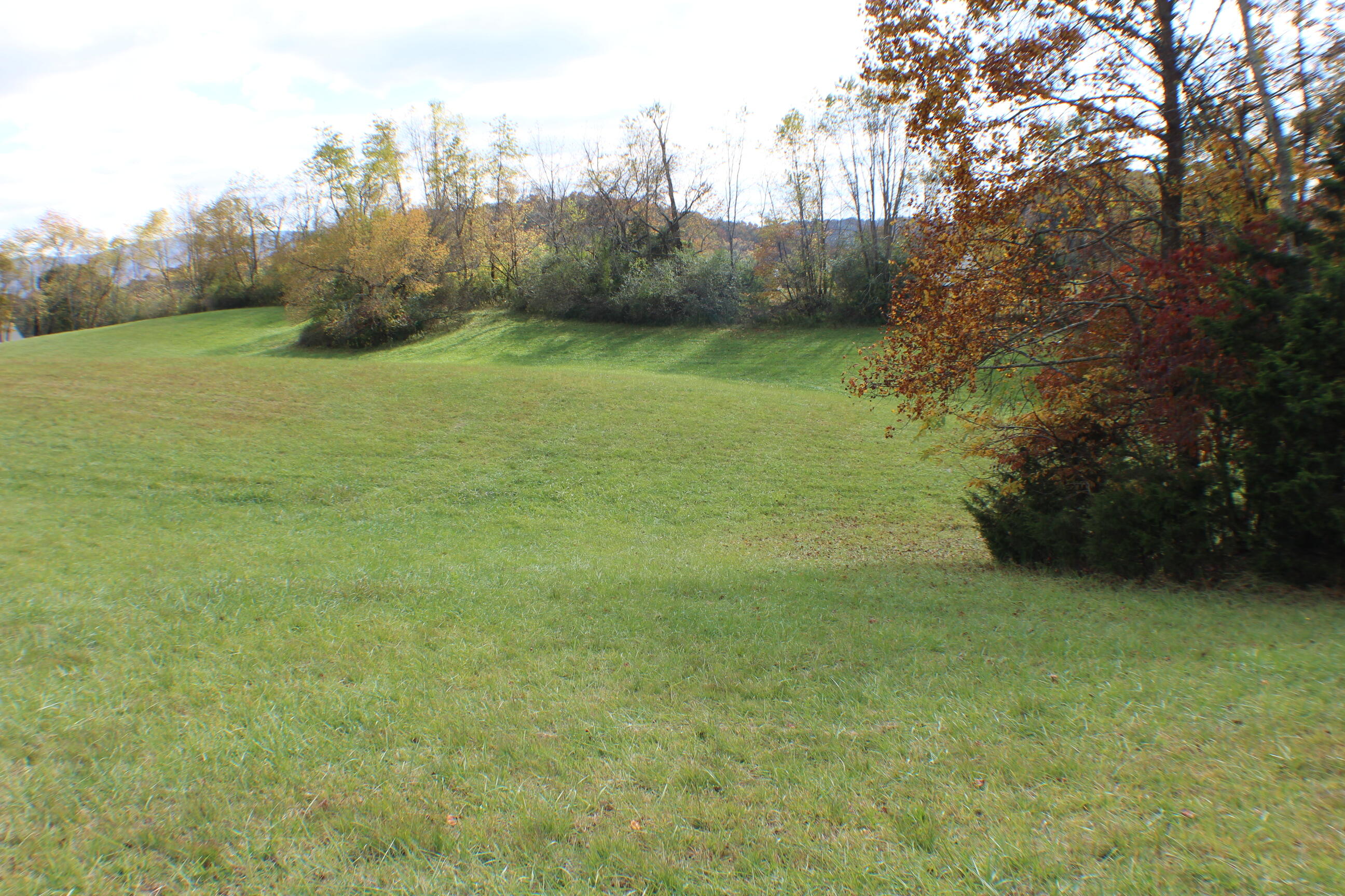0 Vickars Road Bluff City, TN 37618 - Photo 14 of 16 IMG_8201