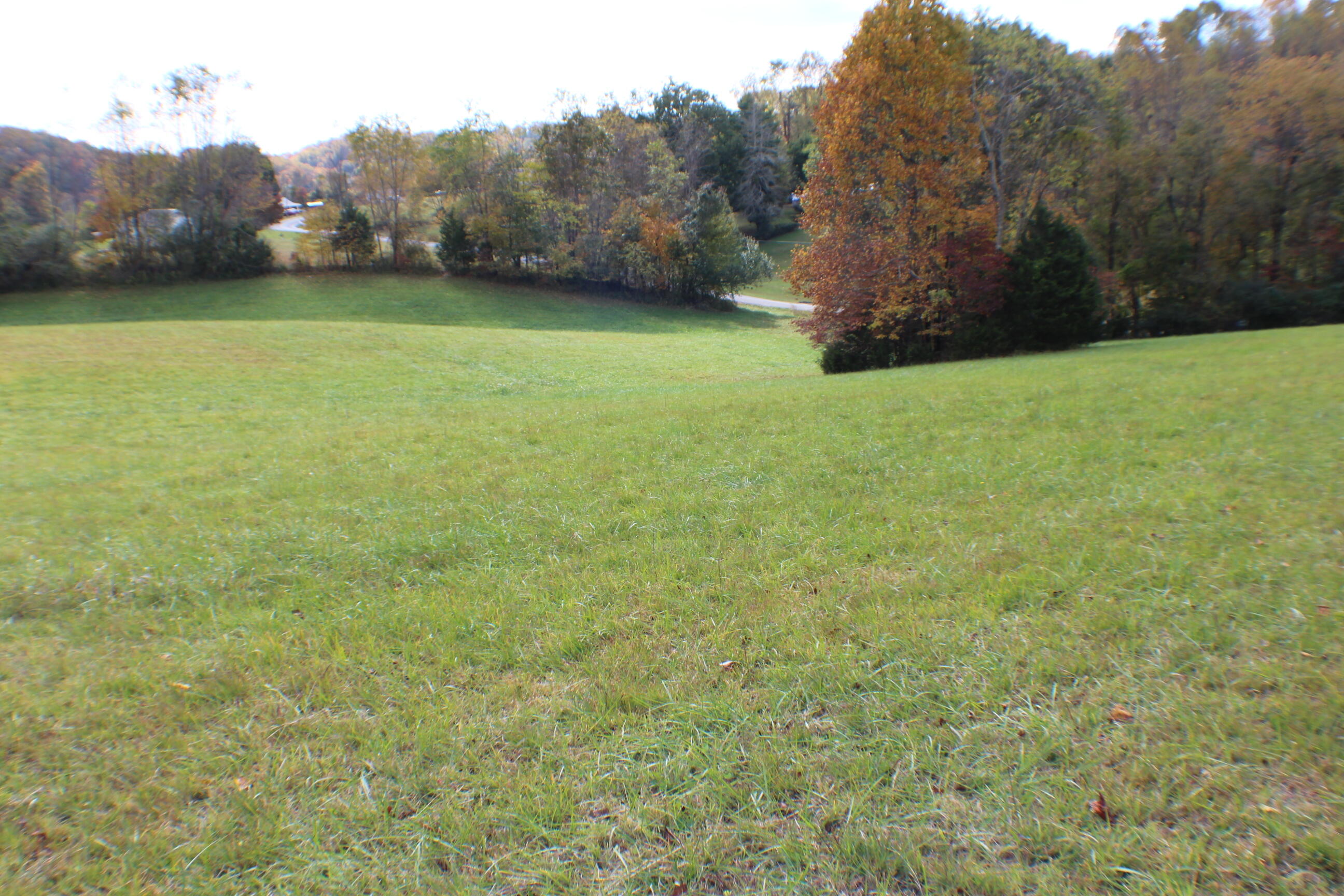 0 Vickars Road Bluff City, TN 37618 - Photo 15 of 16 IMG_8202
