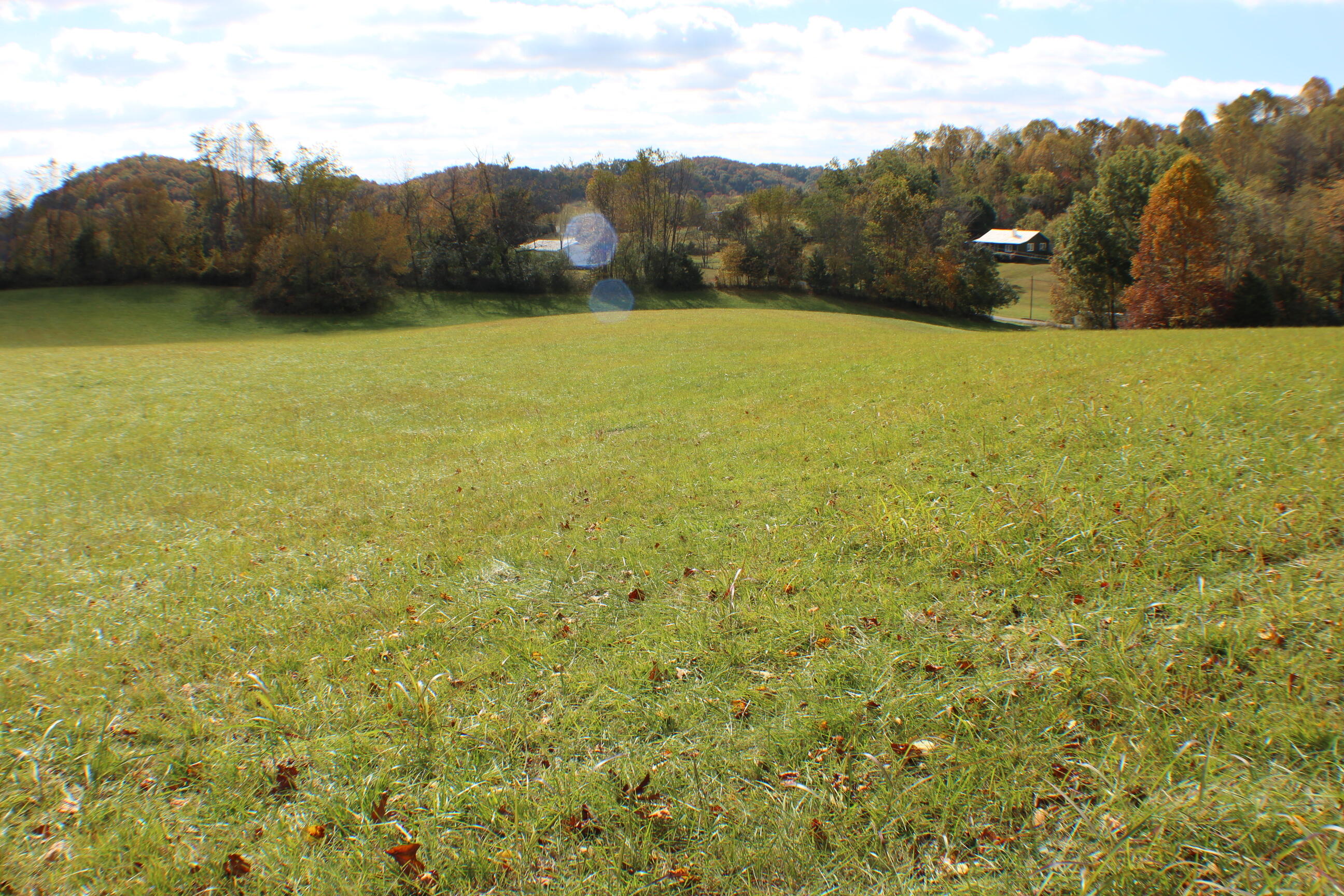 0 Vickars Road Bluff City, TN 37618 - Photo 4 of 16 IMG_8190