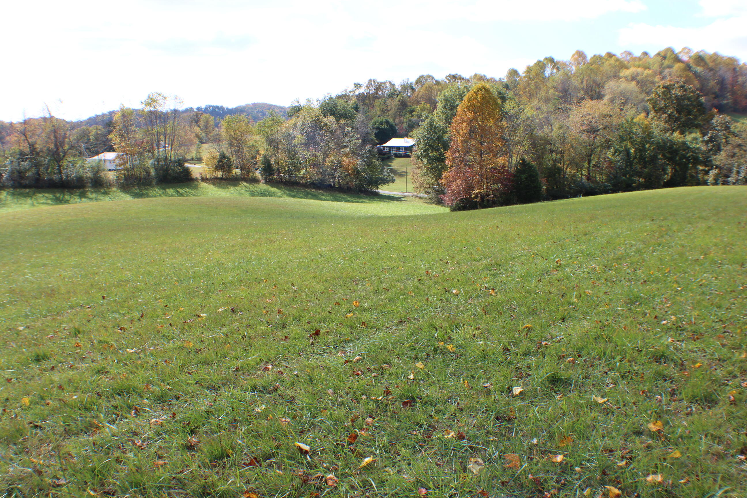 0 Vickars Road Bluff City, TN 37618 - Photo 6 of 16 IMG_8192