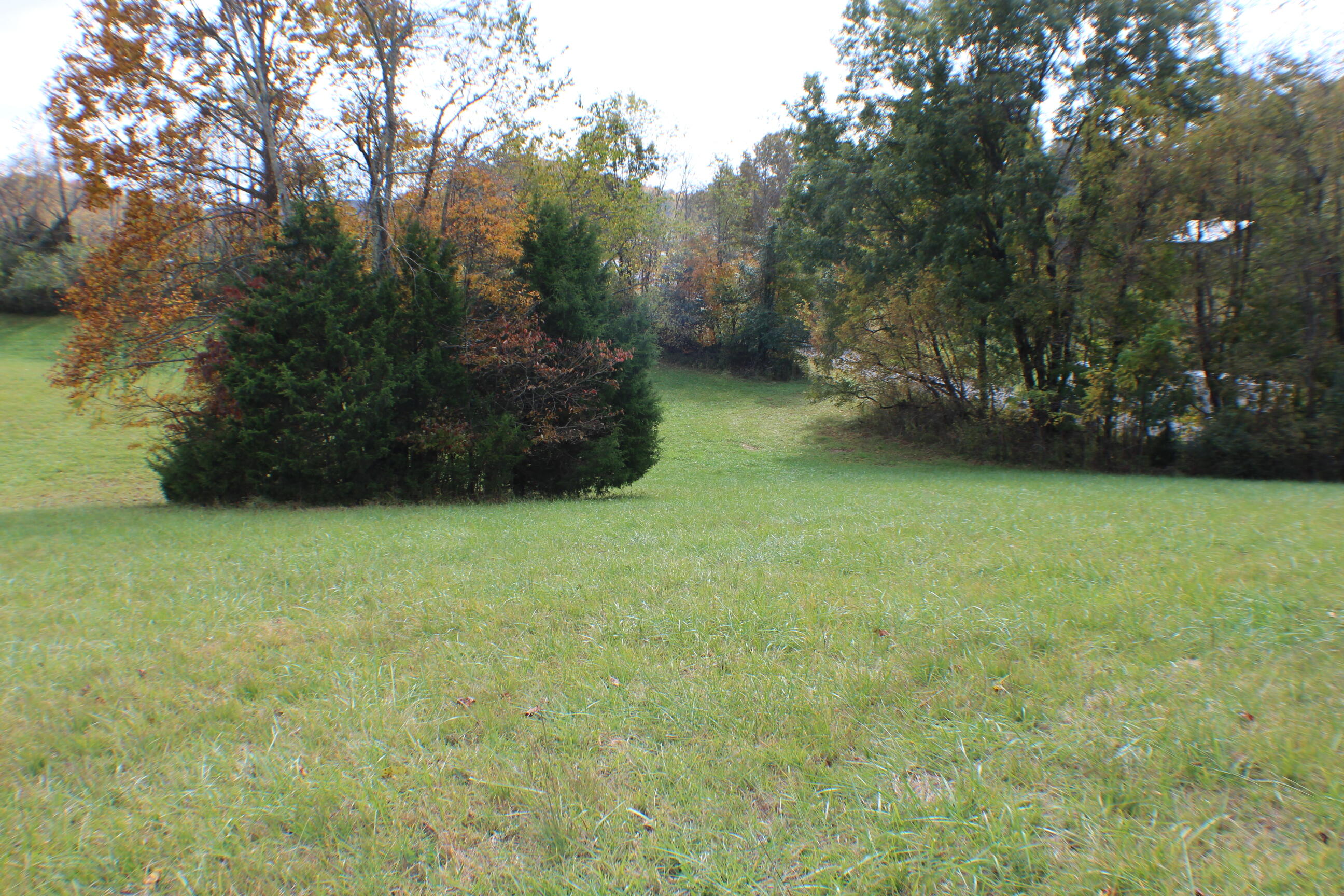 0 Vickars Road Bluff City, TN 37618 - Photo 10 of 16 IMG_8197