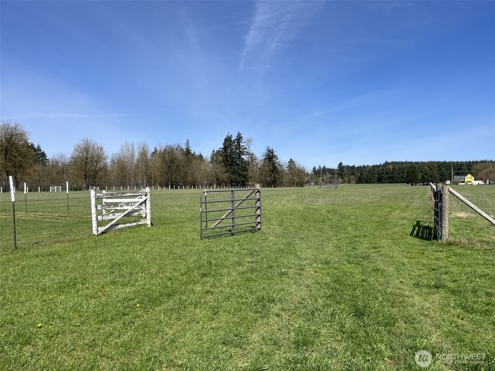 137 La Due Cemetery Road Onalaska, WA 98570 - Photo 35 of 39