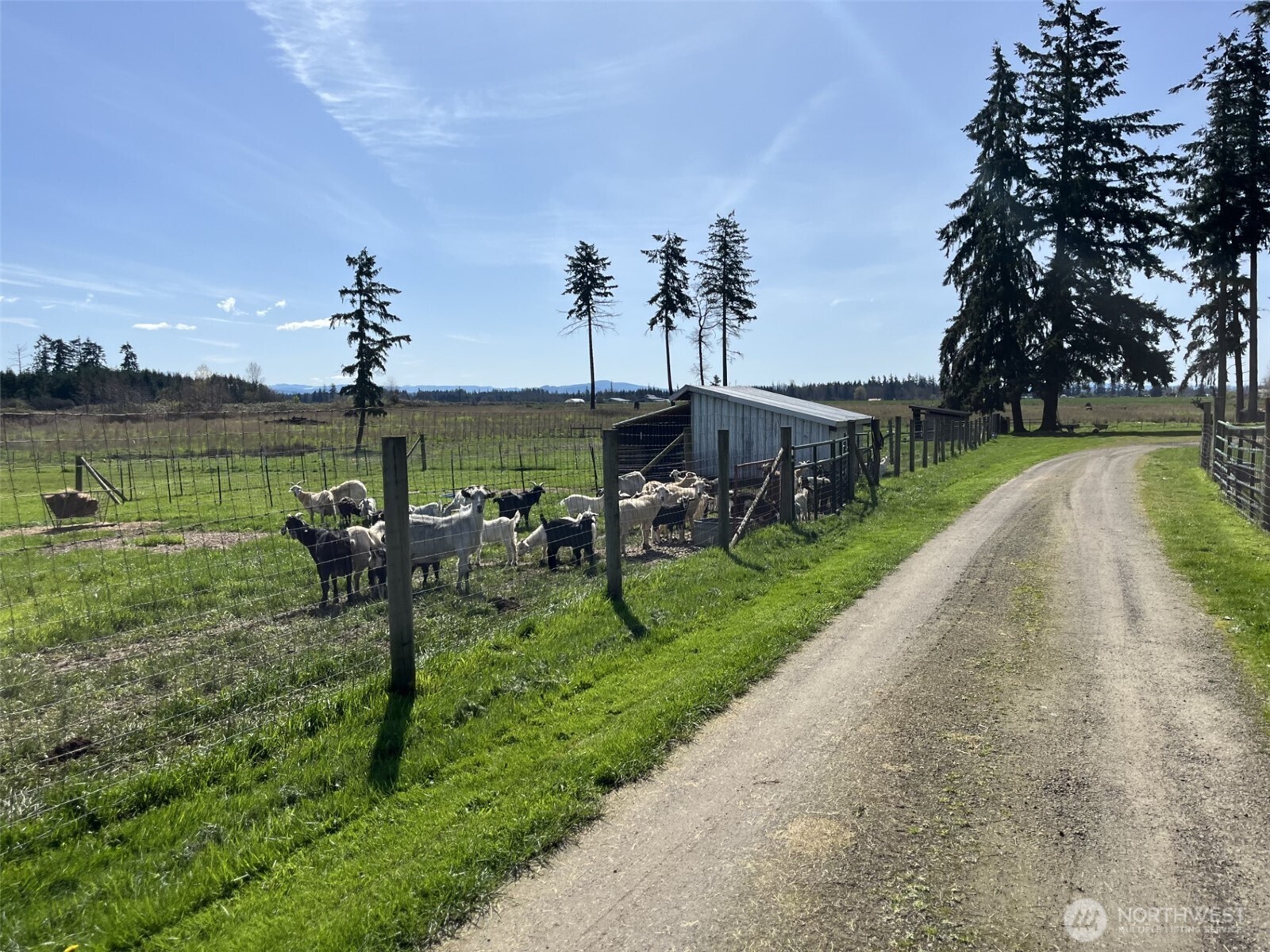 137 La Due Cemetery Road Onalaska, WA 98570 - Photo 36 of 39