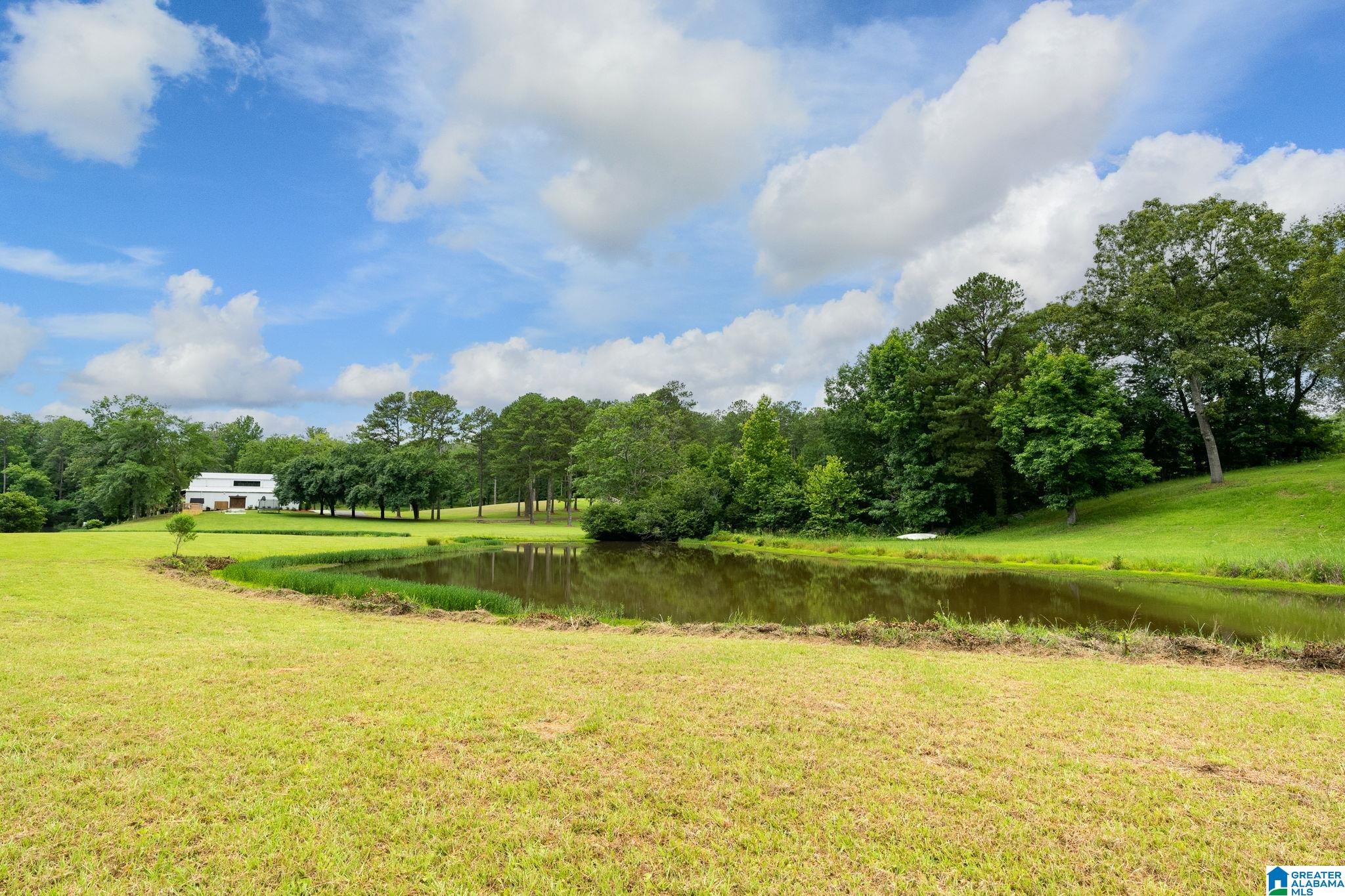 174 Martin Lane, Unit 1A Helena, AL 35080 - Photo 8 of 19