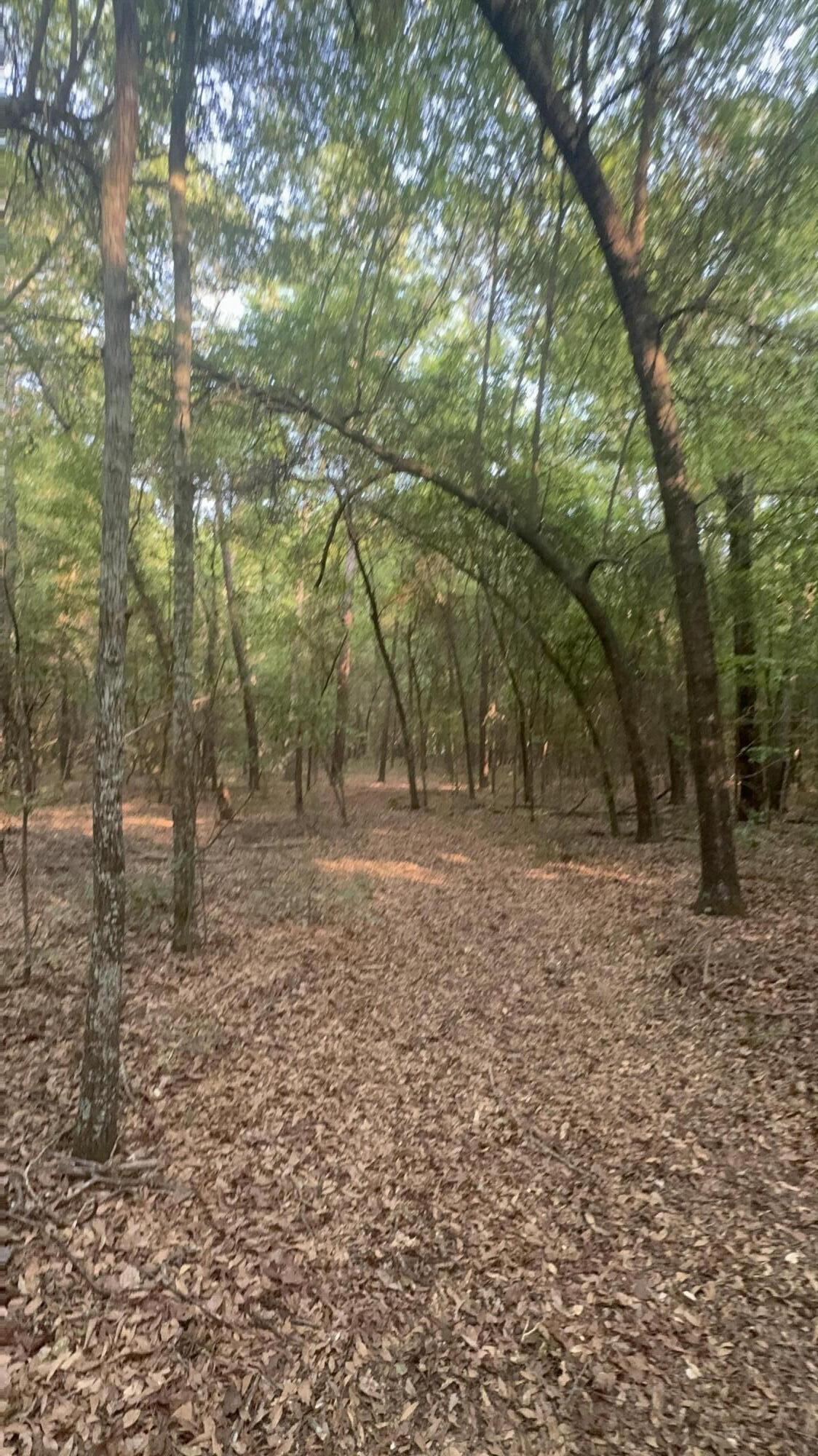 0 Old Whiskey Road South New Ellenton, SC 29809 - Photo 12 of 26