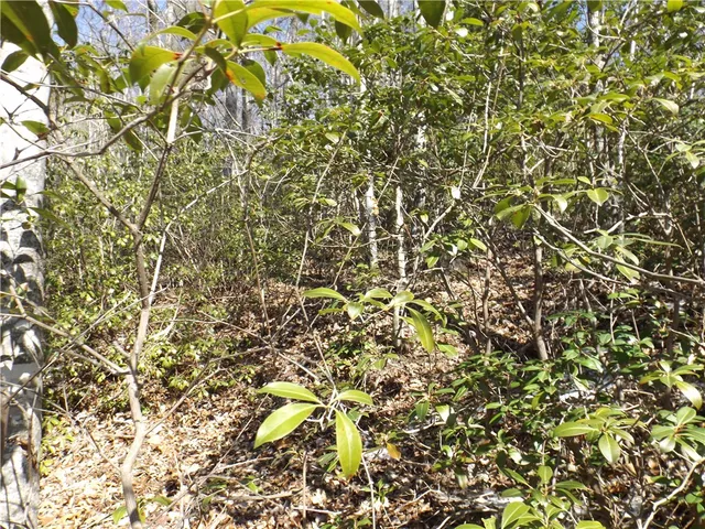 $14,000 | 130 Fairway Woods Drive, Unit WOODS, Pickens, SC 29671