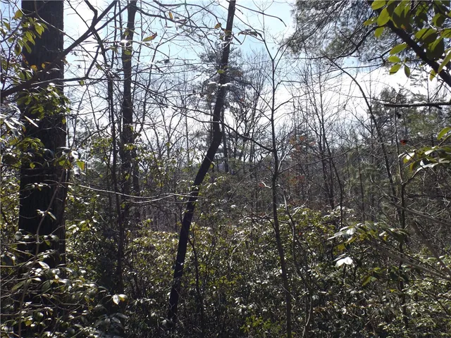 $14,000 | 130 Fairway Woods Drive, Unit WOODS, Pickens, SC 29671