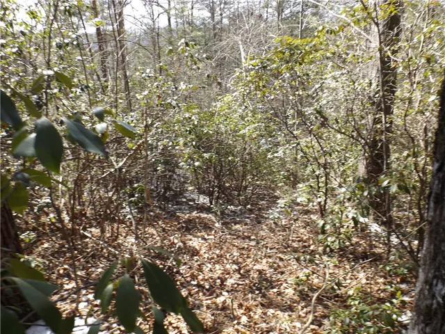 $14,000 | 130 Fairway Woods Drive, Unit WOODS, Pickens, SC 29671