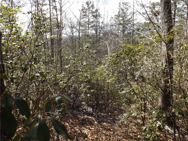 $14,000 | 130 Fairway Woods Drive, Unit WOODS, Pickens, SC 29671