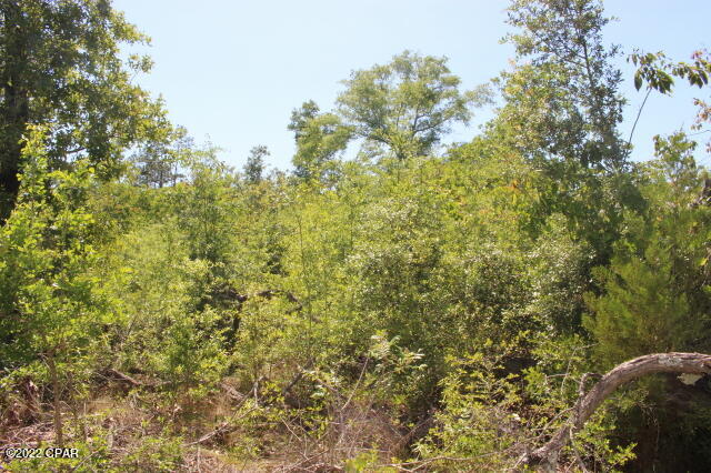 4875 Hasty Pond Road Marianna, FL 32448 - Photo 18 of 25 Gallery Image 18